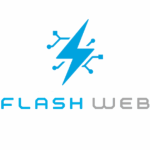 FLASH WEB