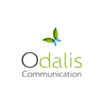 Services numériques complets : création de sites web, applications mobiles, design graphique et hébergement