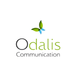 Services numériques complets : création de sites web, applications mobiles, design graphique et hébergement